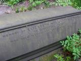 image of grave number 483940